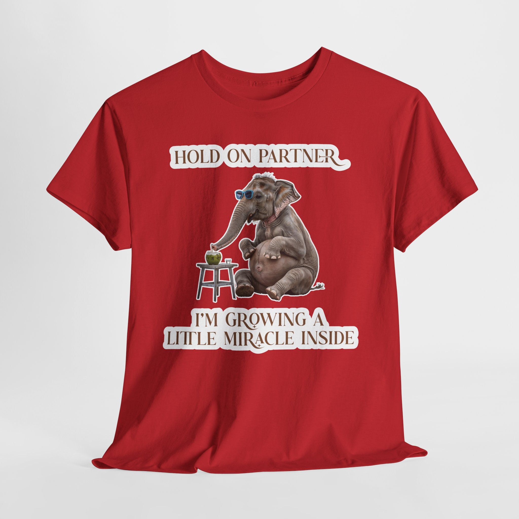 Pregnancy Tee Shirt