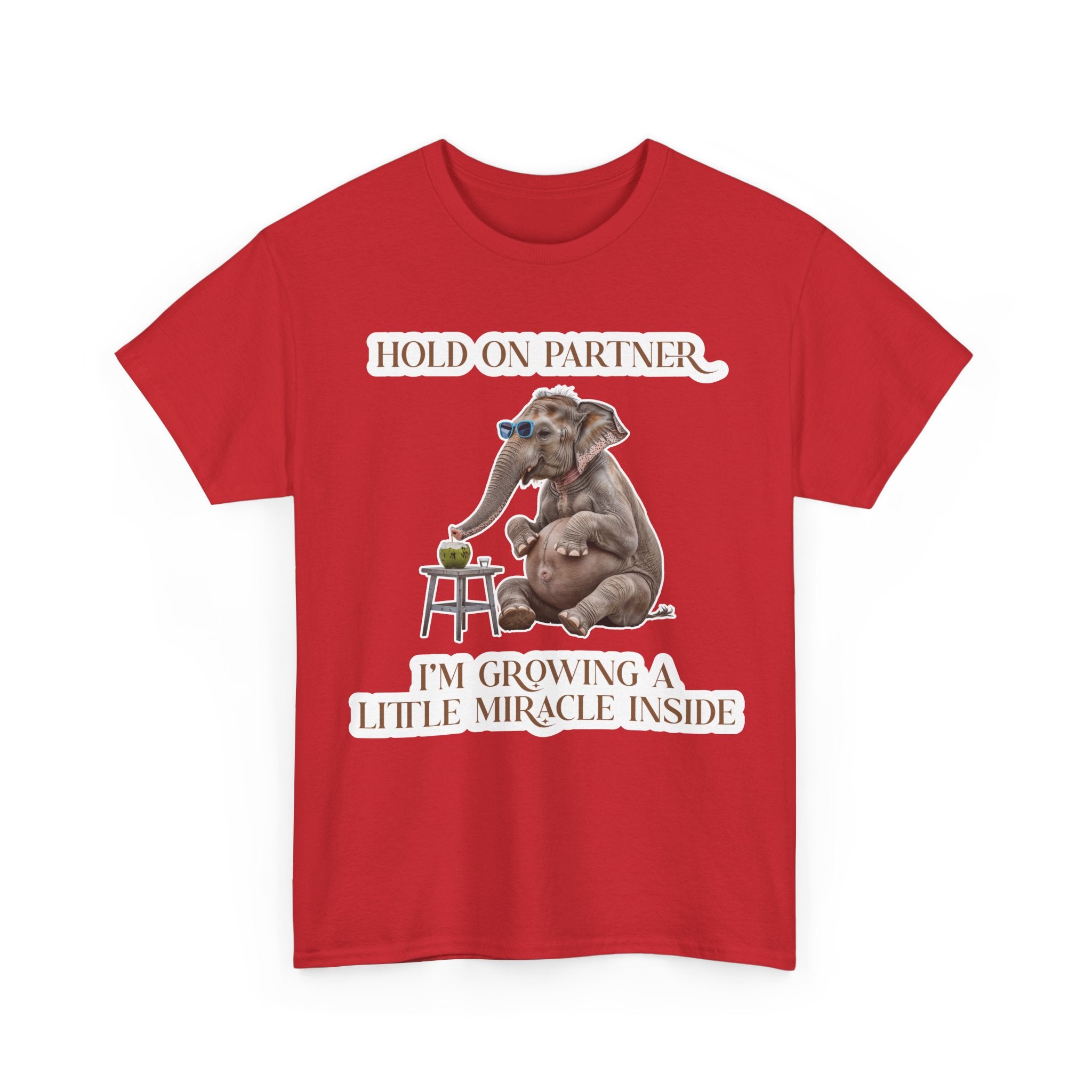 Pregnancy Tee Shirt