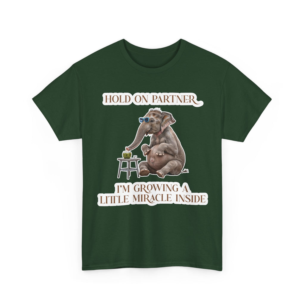 Pregnancy Tee Shirt