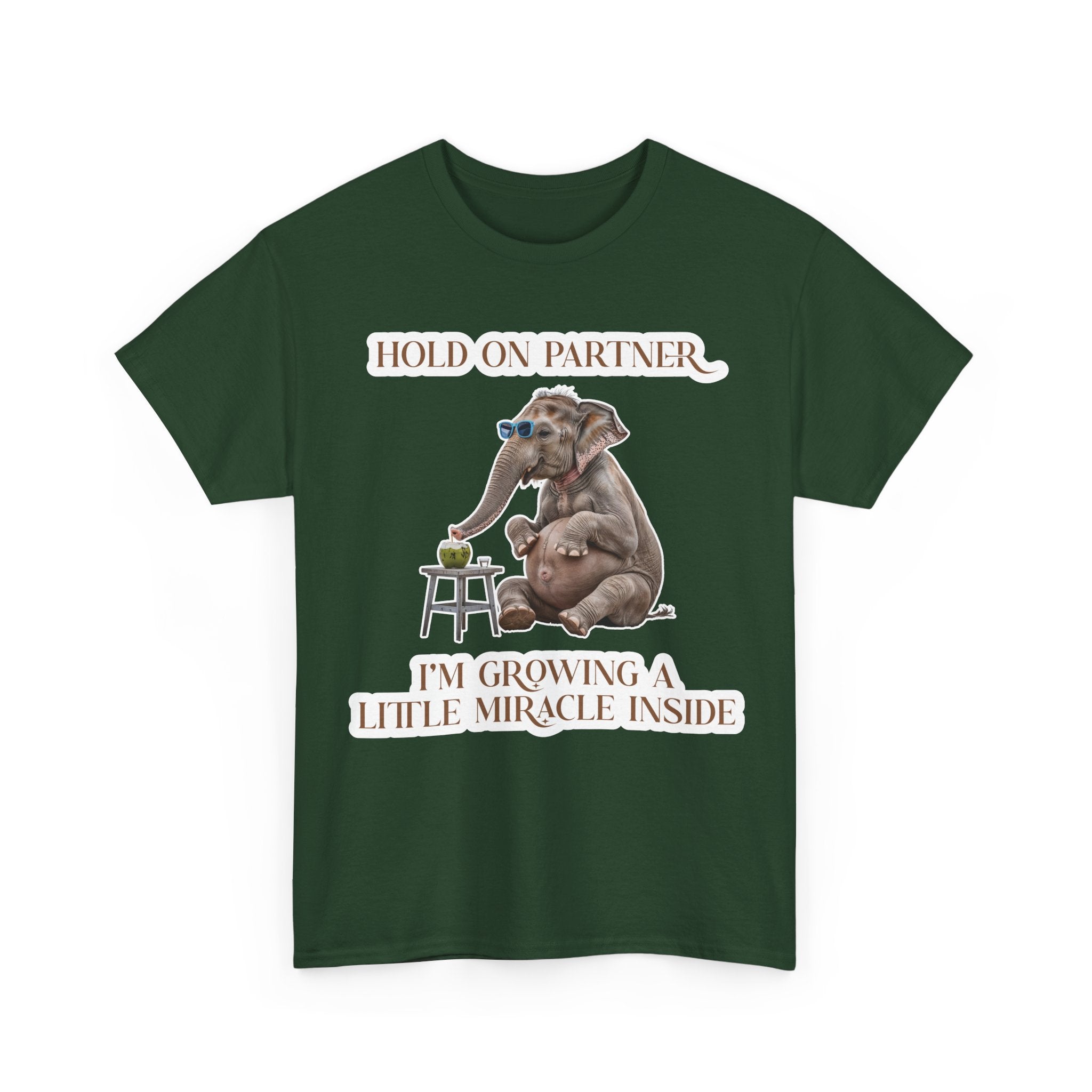 Pregnancy Tee Shirt