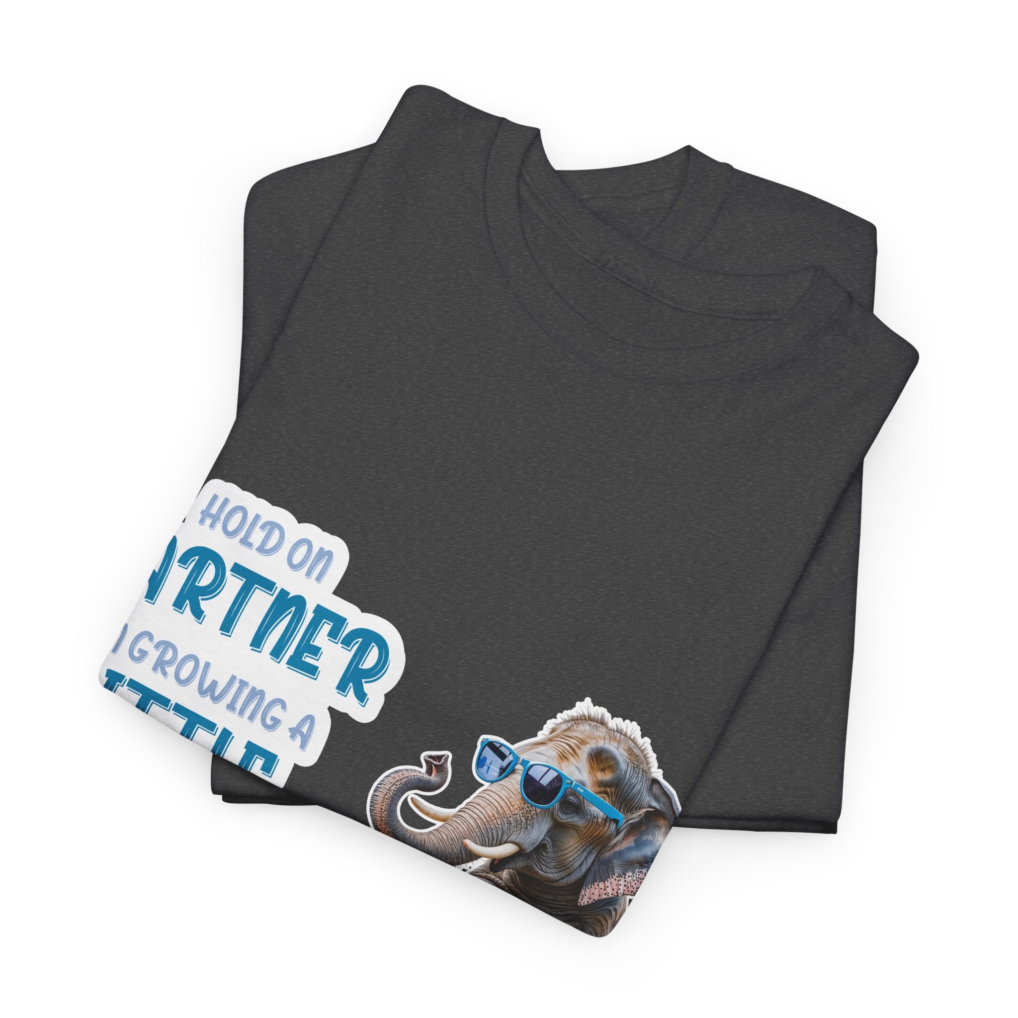 Pregnancy Tee Shirt