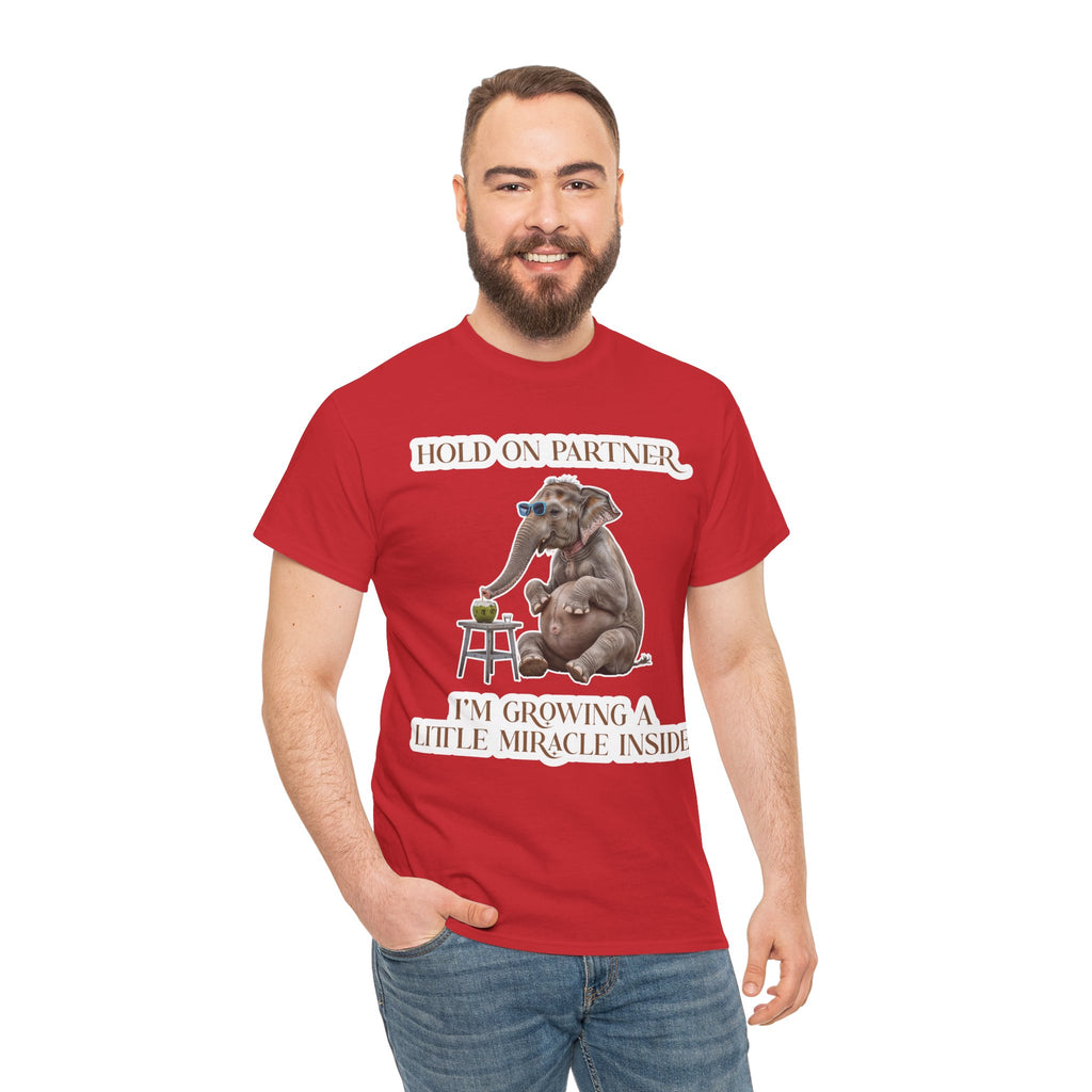 Pregnancy Tee Shirt