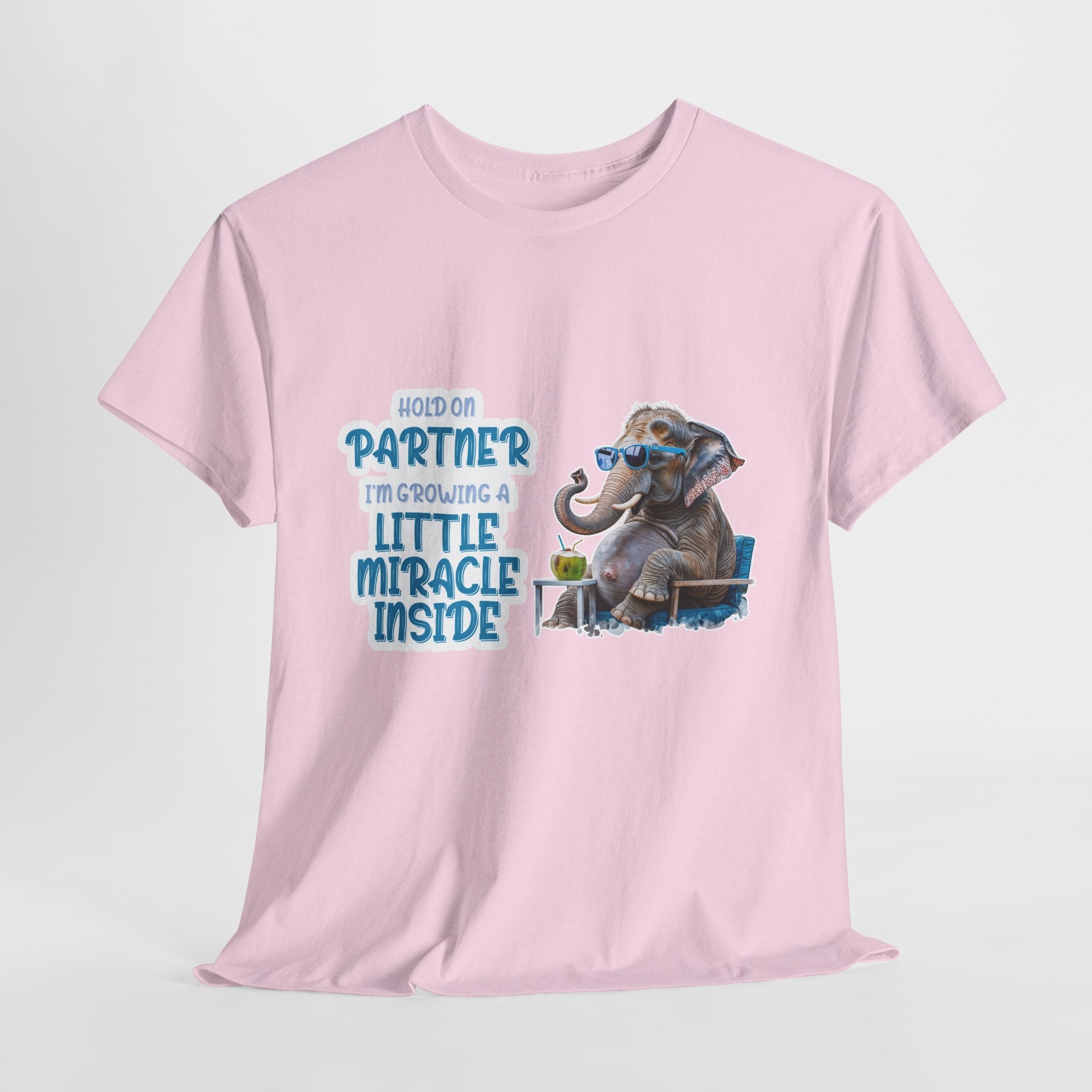 Pregnancy Tee Shirt