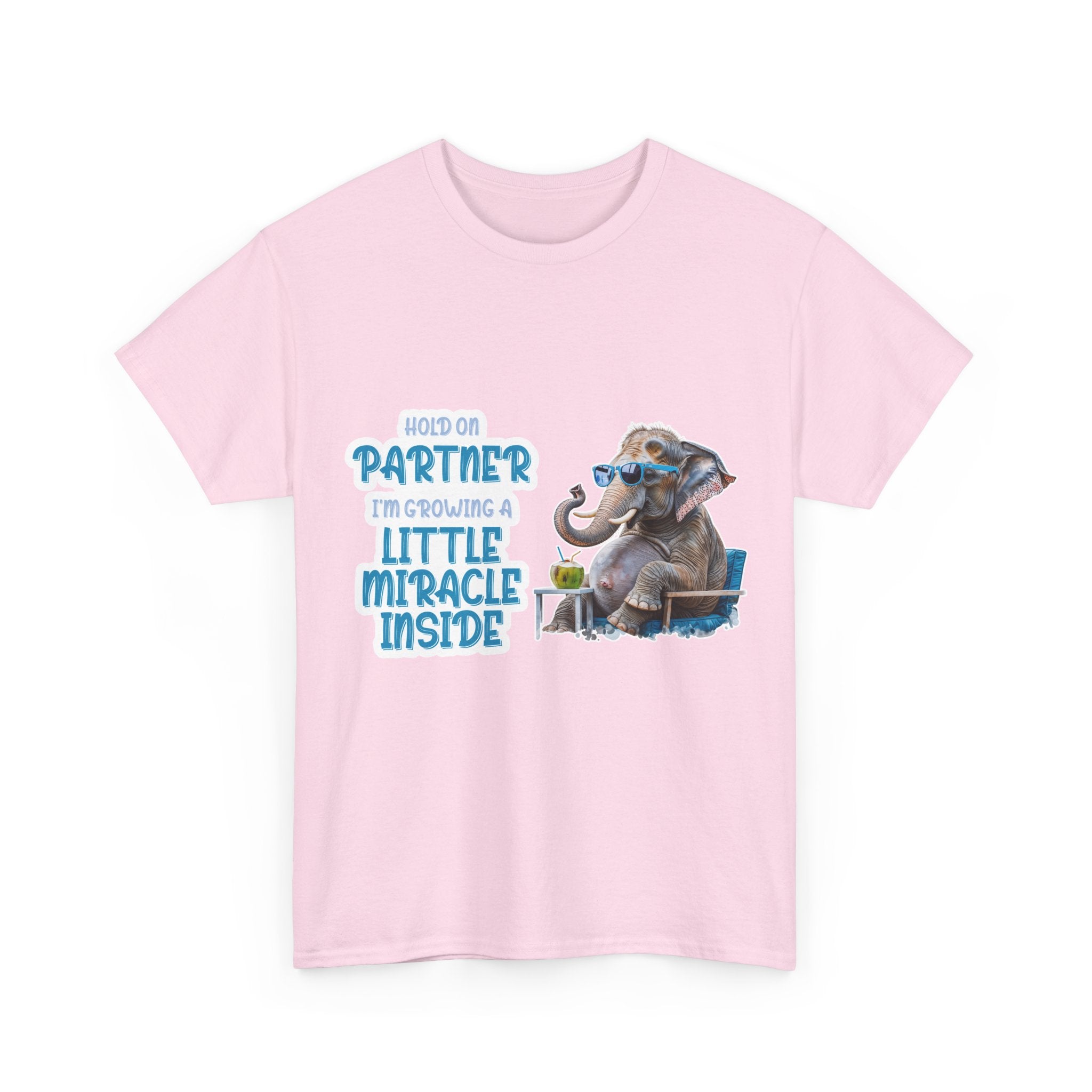 Pregnancy Tee Shirt