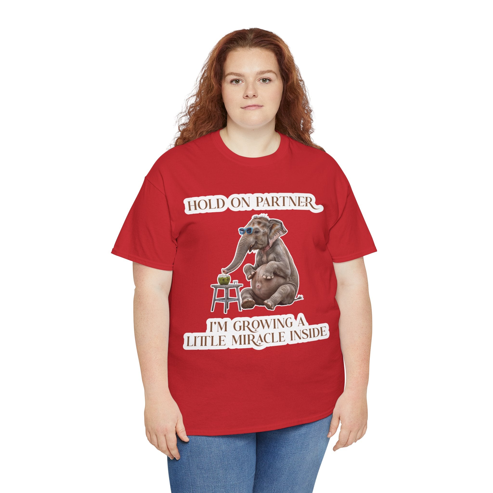 Pregnancy Tee Shirt