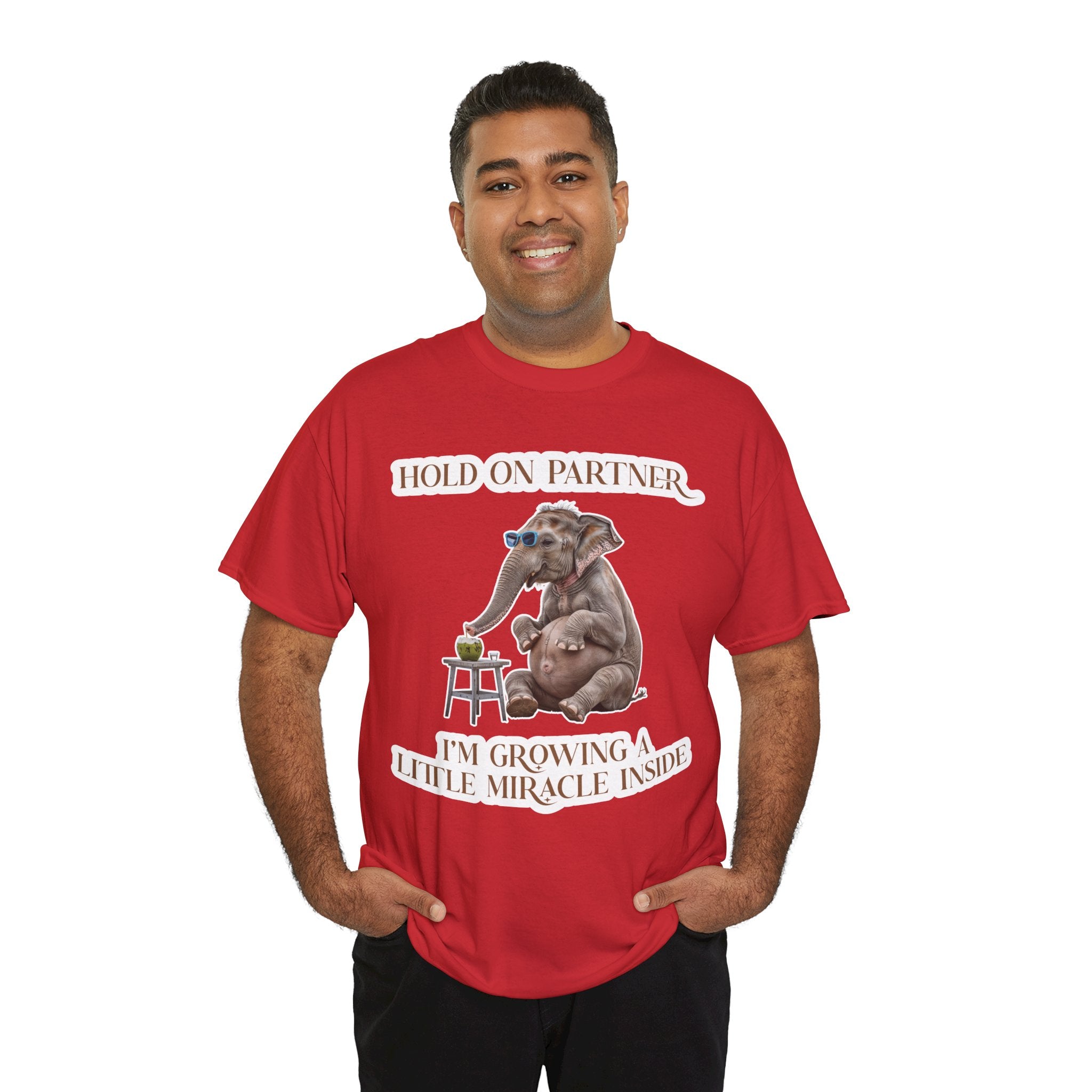 Pregnancy Tee Shirt