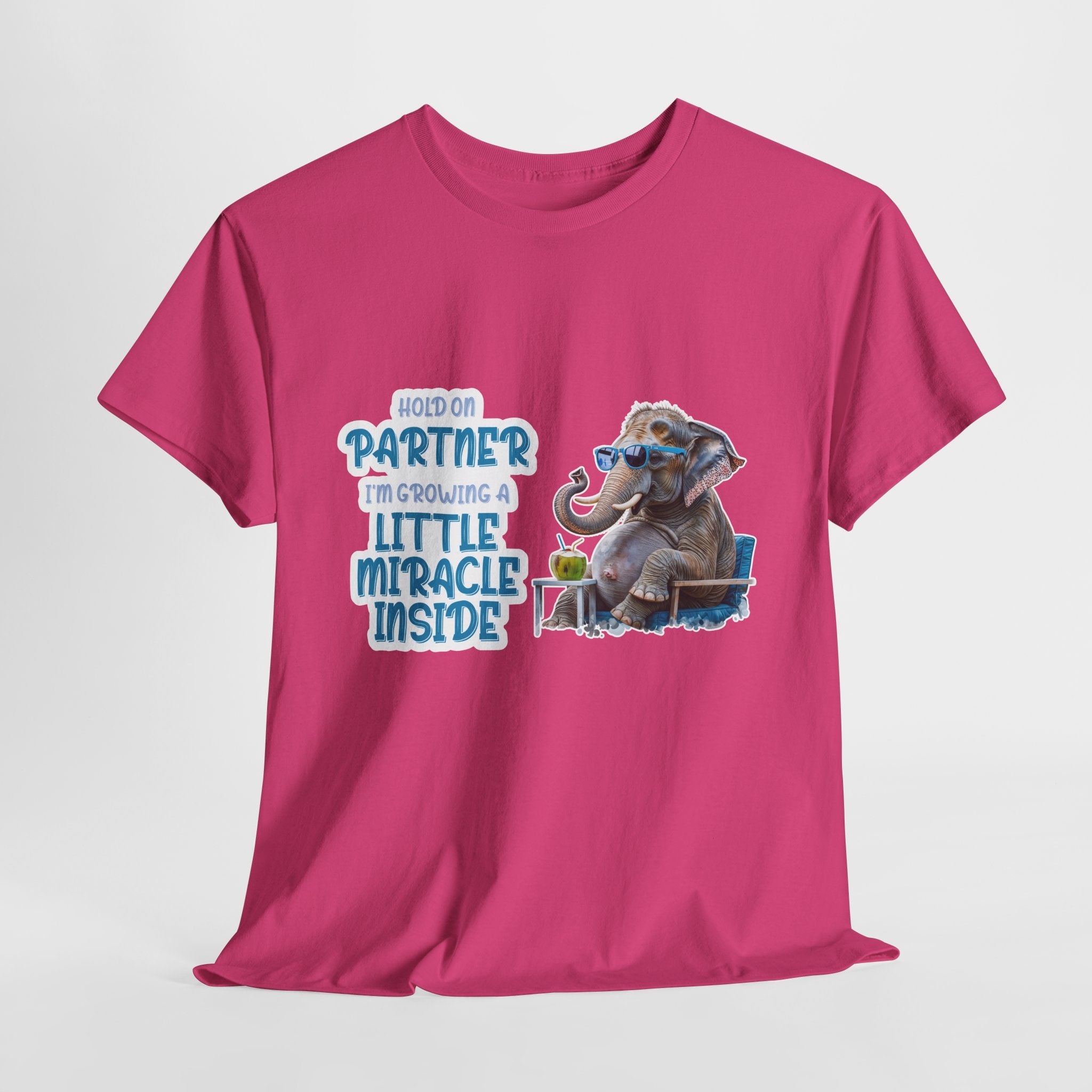 Pregnancy Tee Shirt