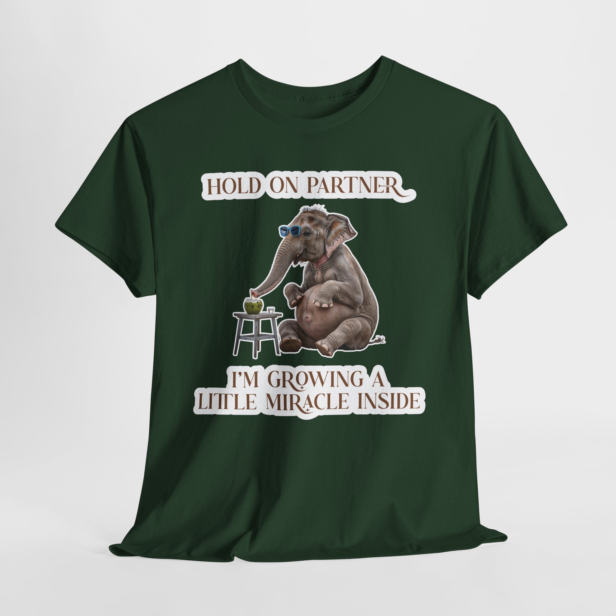 Pregnancy Tee Shirt