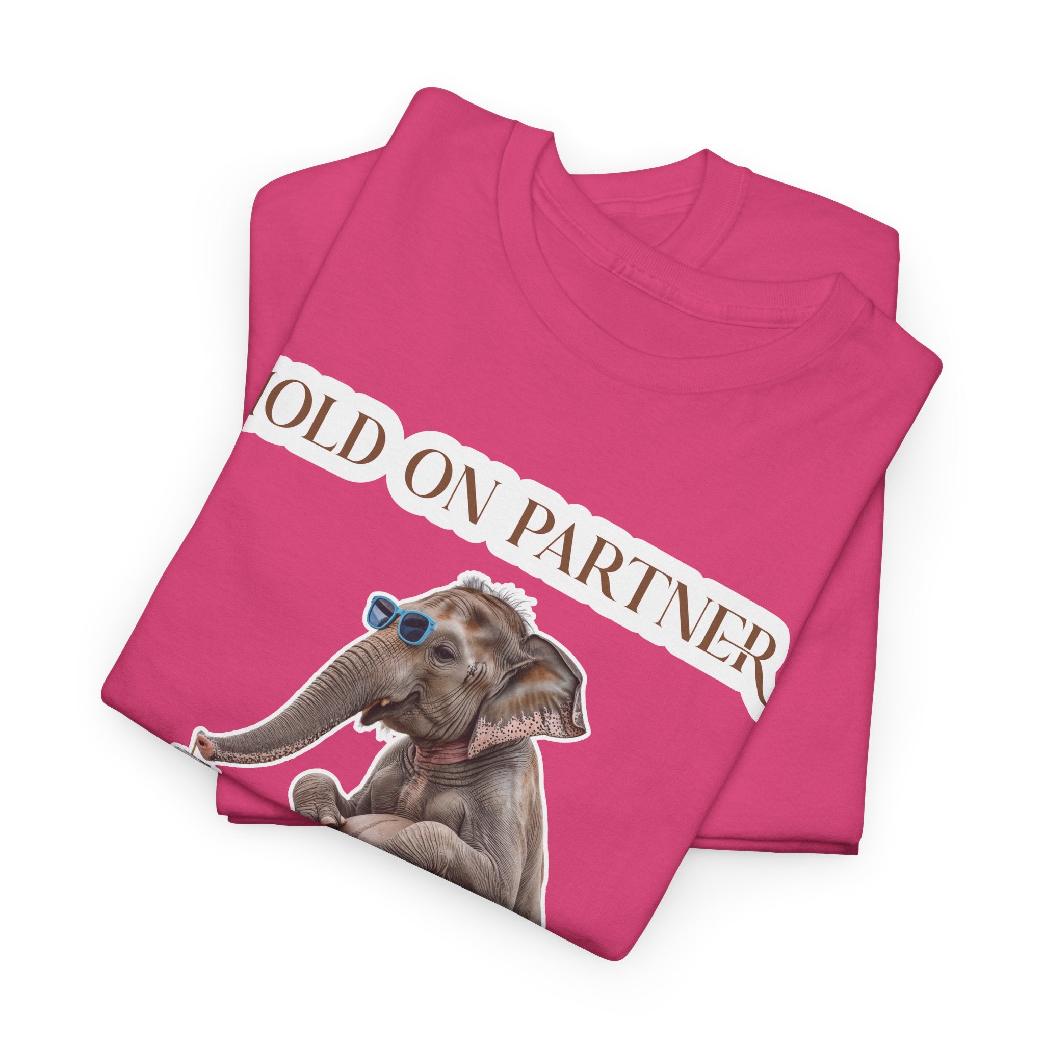 Pregnancy Tee Shirt