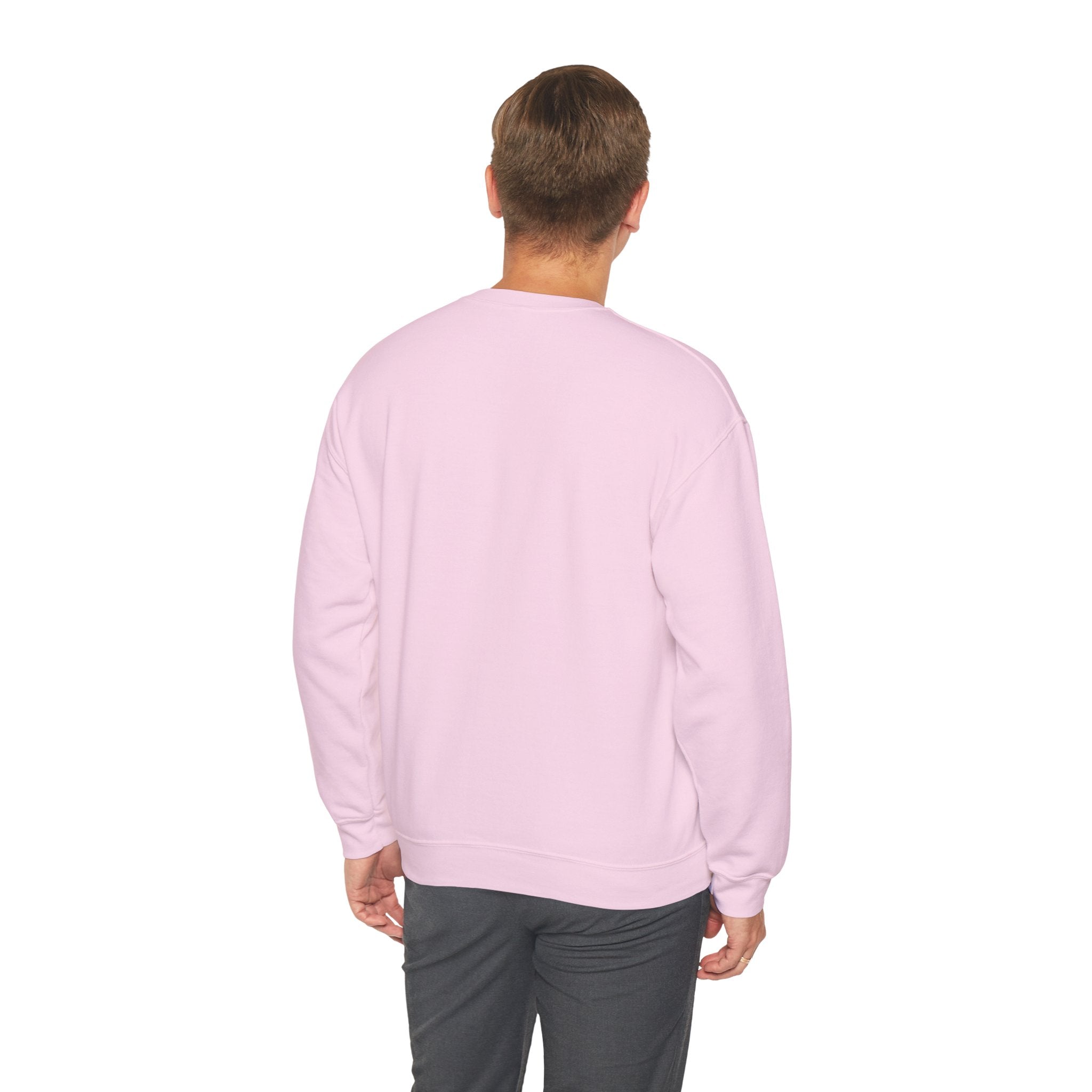 Back to School Fun Unisex Sweatshirt