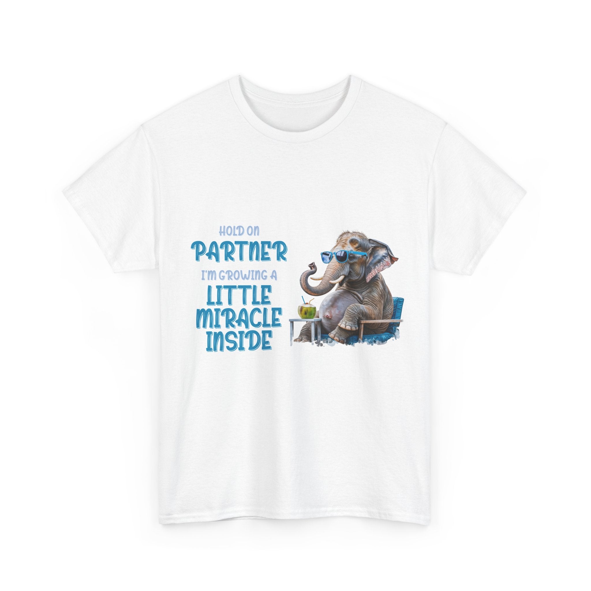 Pregnancy Tee Shirt