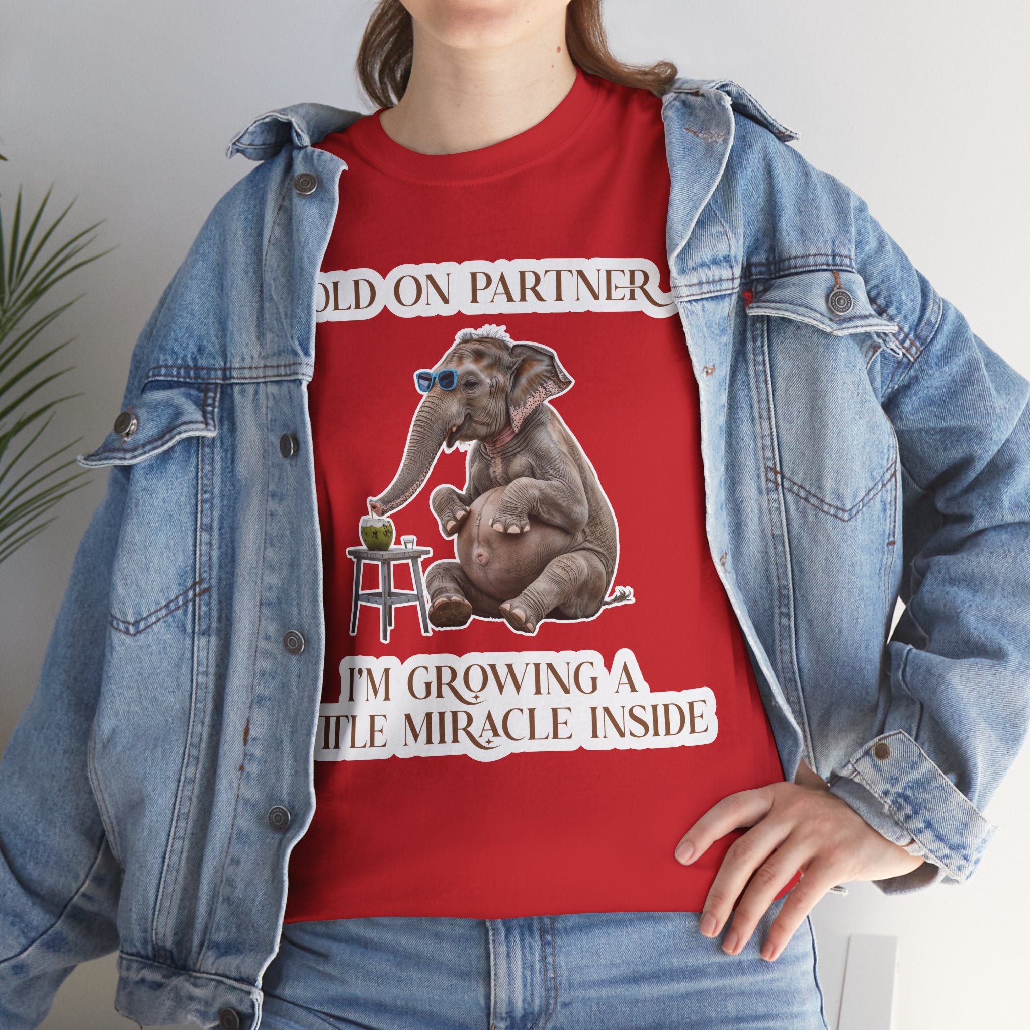 Pregnancy Tee Shirt