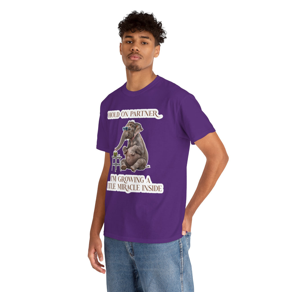 Pregnancy Tee Shirt