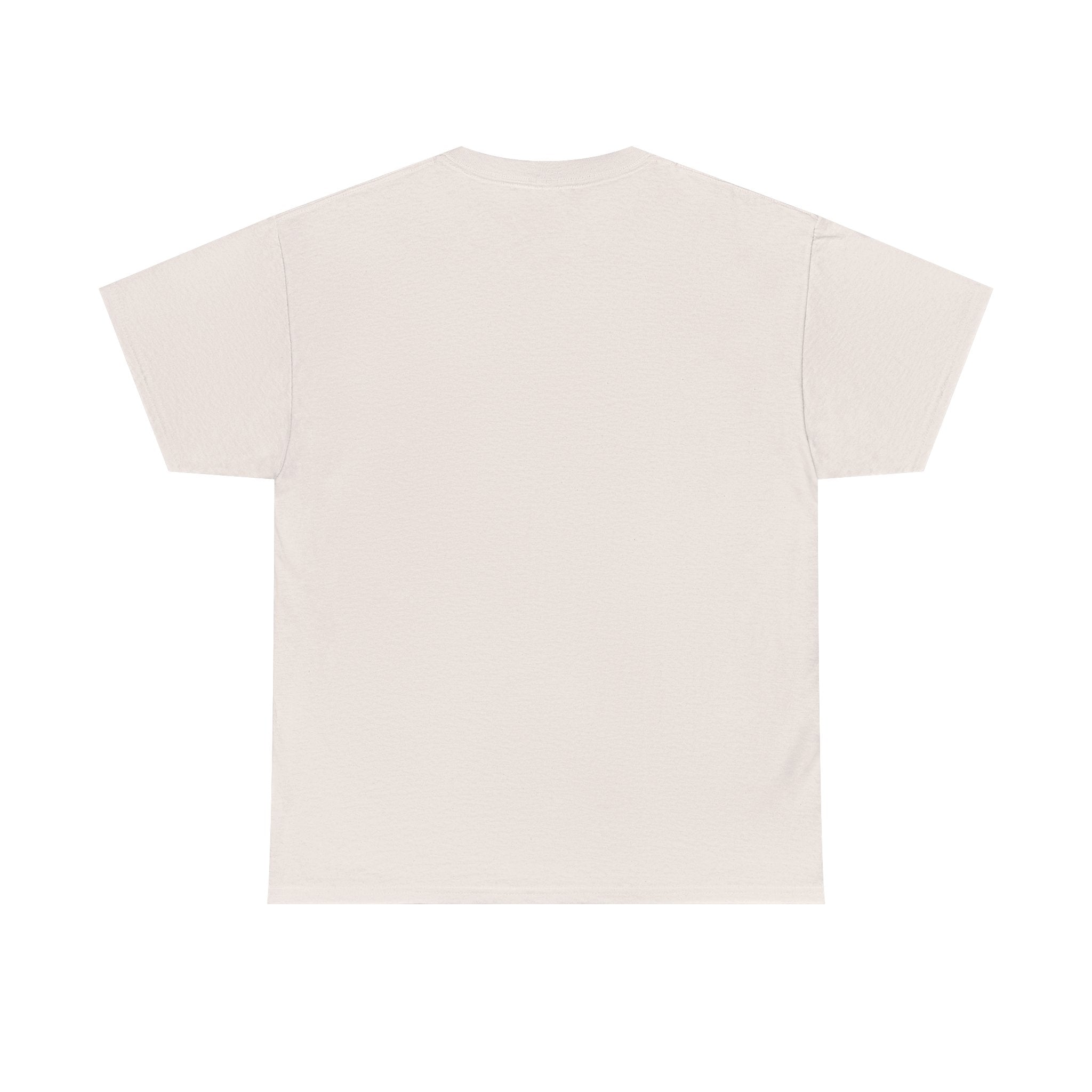 I can do All Things Through Christ Unisex Heavy Cotton Tee