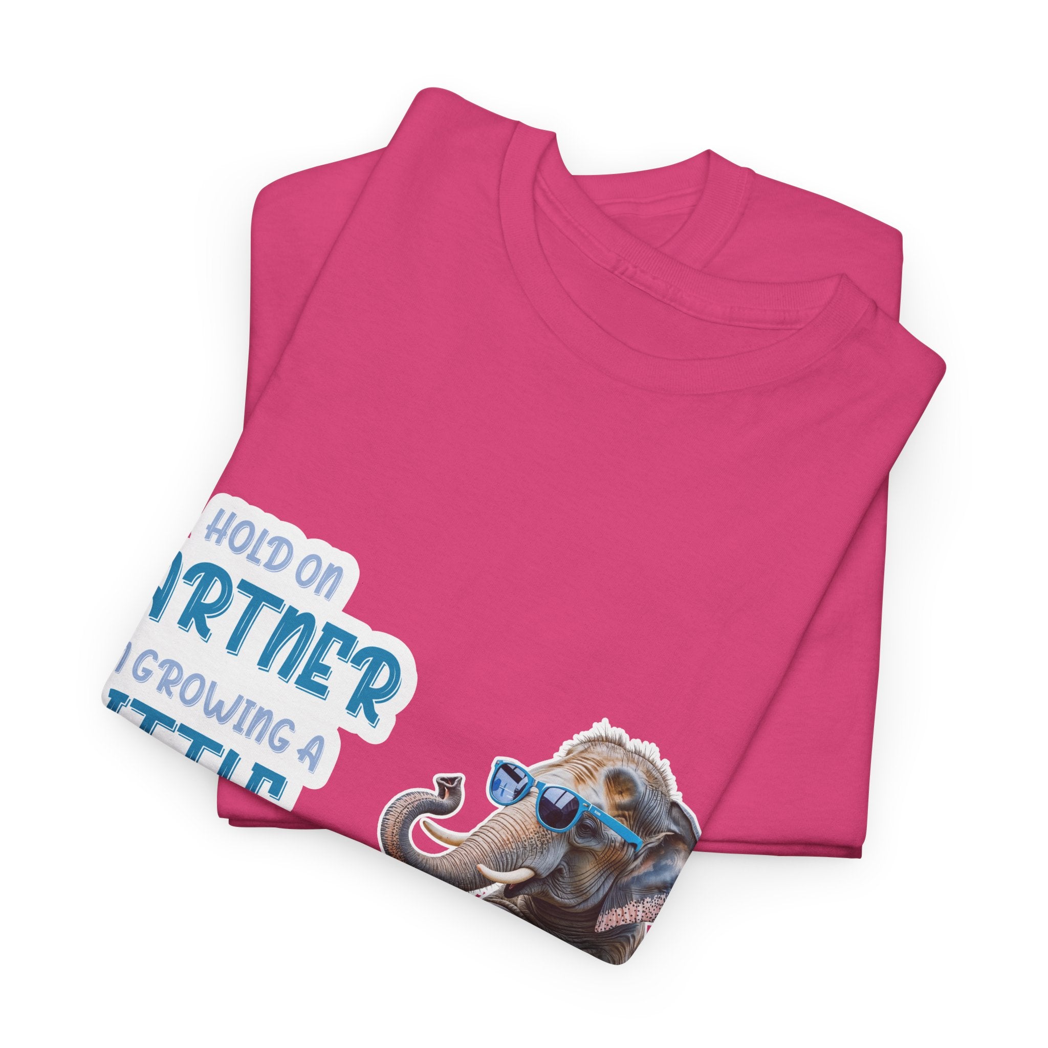 Pregnancy Tee Shirt